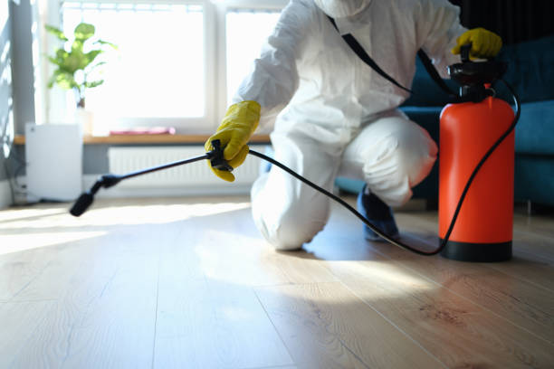 Reliable Odor Removal contractor in Sparks, TX by Trauma Clean Pros